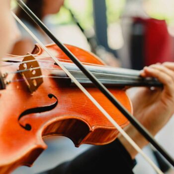 Back View Of A Violinist Performing A Piece With H       Utc